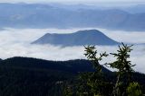 _dsc9029.jpg